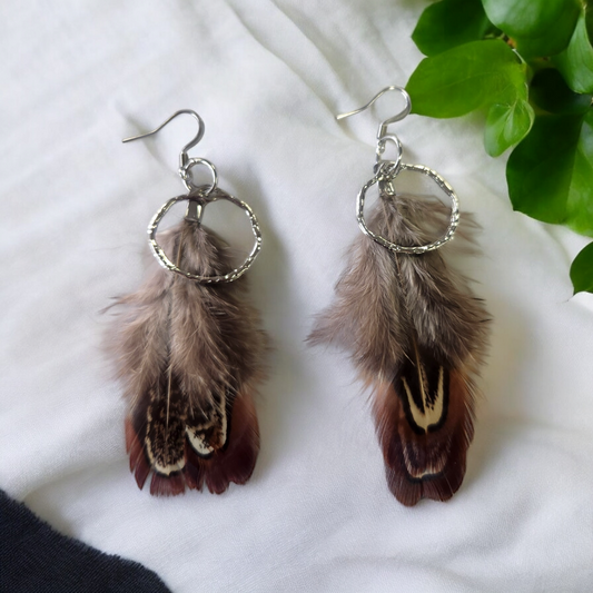 Brown Feathers with accent hoop